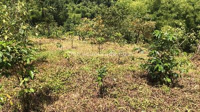 Lote en Venta, Dosquebradas, Dosquebradas