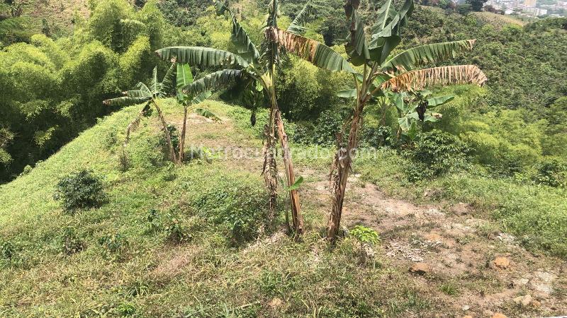 Lote en Venta, Dosquebradas, Dosquebradas - Vista 2