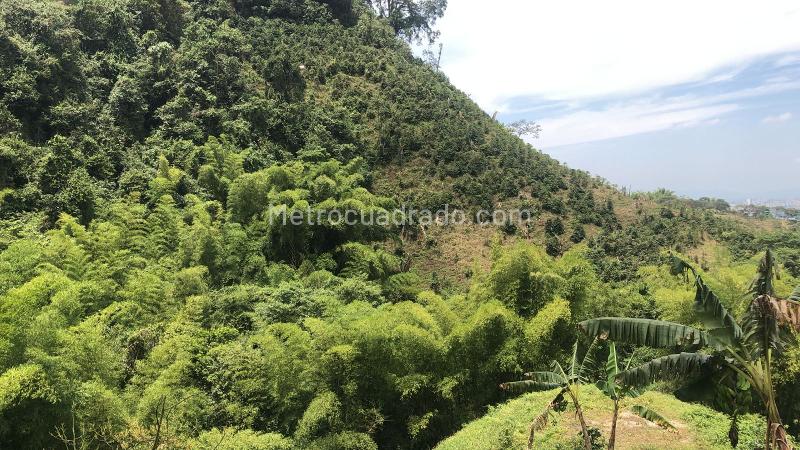 Lote en Venta, Dosquebradas, Dosquebradas - Vista 3