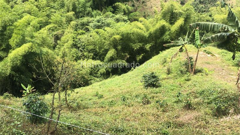Lote en Venta, Dosquebradas, Dosquebradas - Vista 5