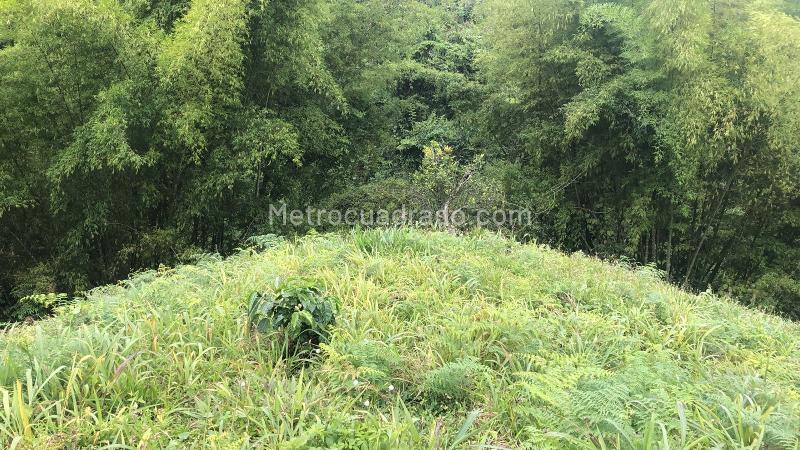 Lote en Venta, Dosquebradas, Dosquebradas - Vista 2