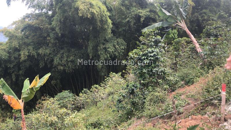 Lote en Venta, Dosquebradas, Dosquebradas - Vista 3