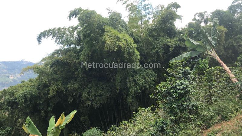 Lote en Venta, Dosquebradas, Dosquebradas - Vista 4
