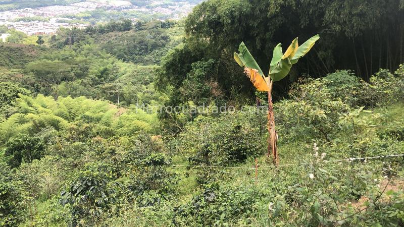 Lote en Venta, Dosquebradas, Dosquebradas - Vista 5