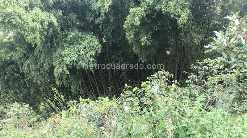 Lote en Venta, Dosquebradas, Dosquebradas - Más