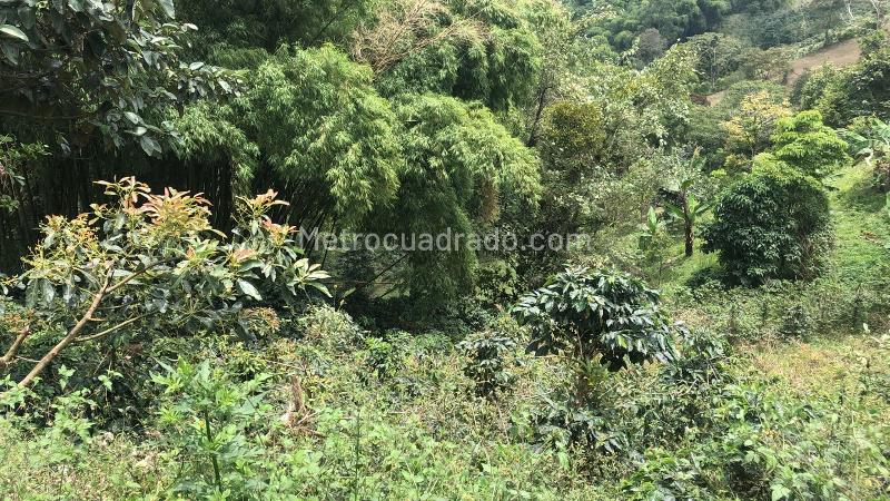 Lote en Venta, Dosquebradas, Dosquebradas - Vista 3