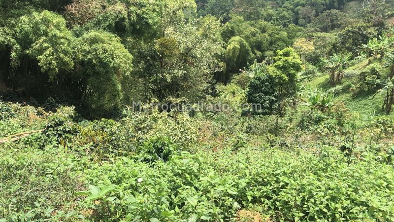Lote en Venta, Dosquebradas, Dosquebradas - Vista 4