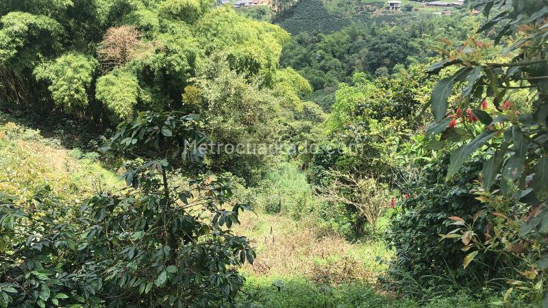 Lote en Venta, Dosquebradas, Dosquebradas - Vista 5