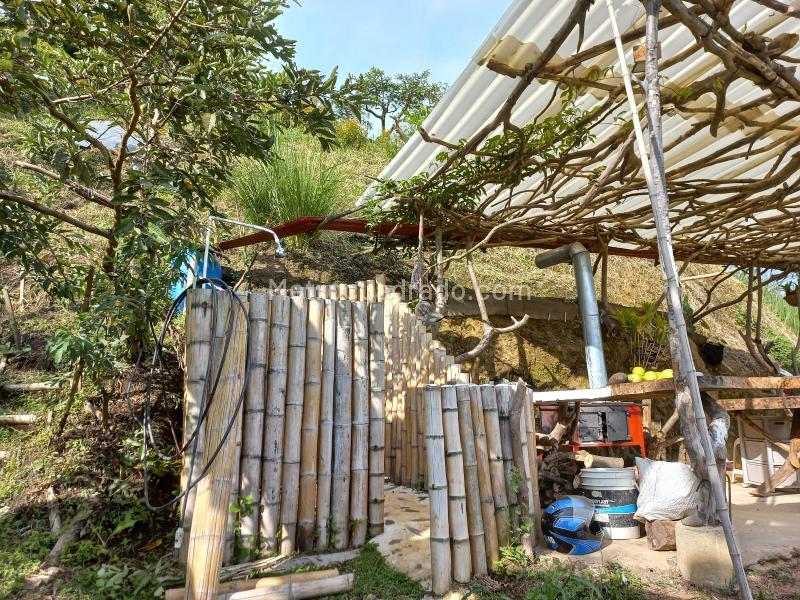 Lote en Venta, Vereda La Trinidad, Manizales - Vista 5