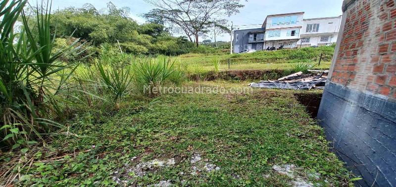 Lote en Venta, Av La Romelia El Pollo, Dosquebradas - Vista 4