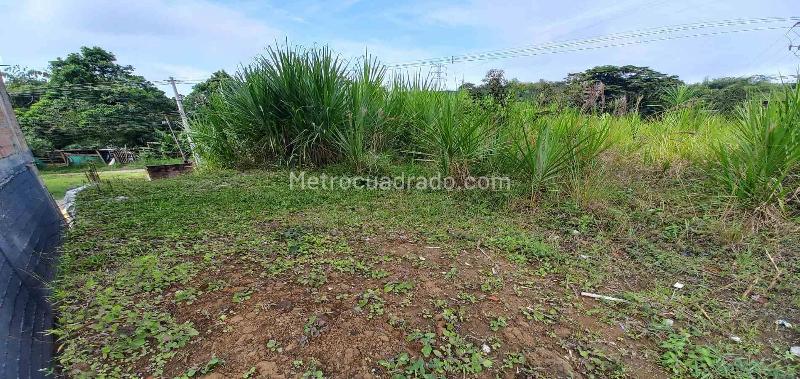 Lote en Venta, Av La Romelia El Pollo, Dosquebradas - Vista 5
