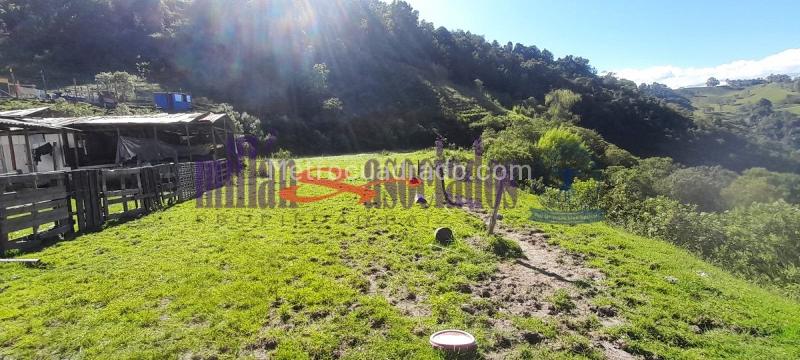 Lote en Venta, Cerro De Oro, Manizales - Vista 2