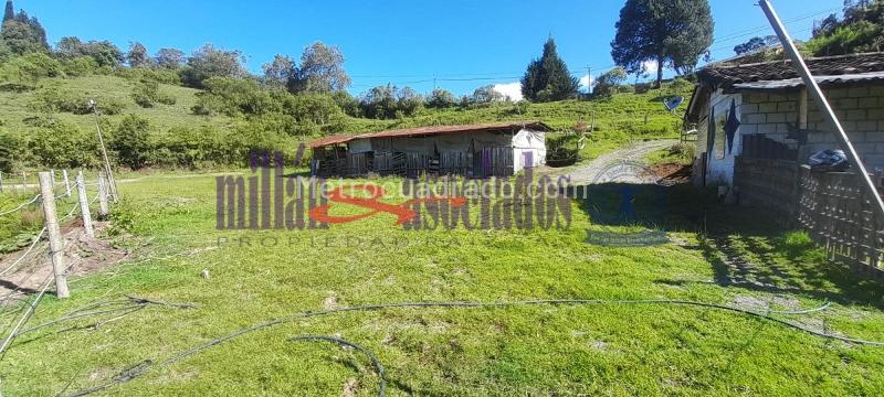 Lote en Venta, Cerro De Oro, Manizales - Vista 3