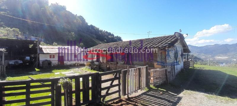 Lote en Venta, Cerro De Oro, Manizales - Vista 4