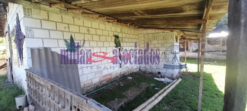 Lote en Venta, Cerro De Oro, Manizales - Vista 5