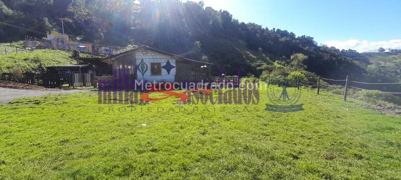 Lote en Venta, Cerro De Oro, Manizales - Más