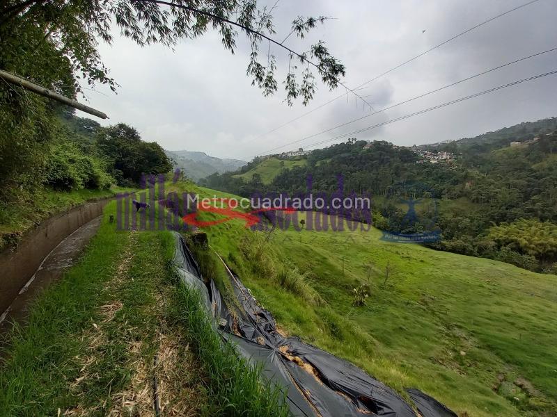 Lote en Venta, Alto Tablazo, Manizales - Vista 2
