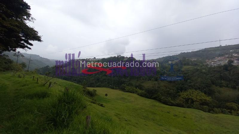 Lote en Venta, Alto Tablazo, Manizales - Vista 3