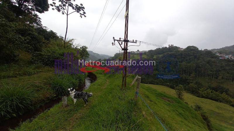 Lote en Venta, Alto Tablazo, Manizales - Vista 4