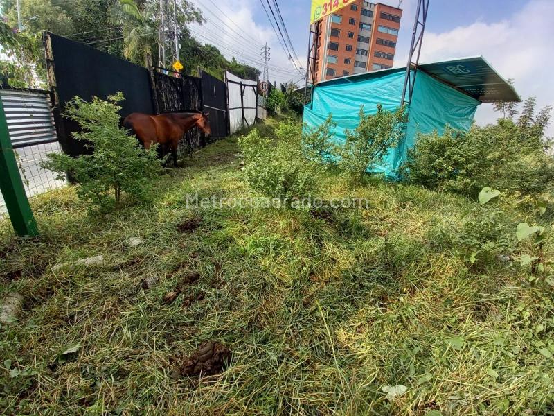 Lote en Venta, Alto Del Perro, Manizales - Vista 3