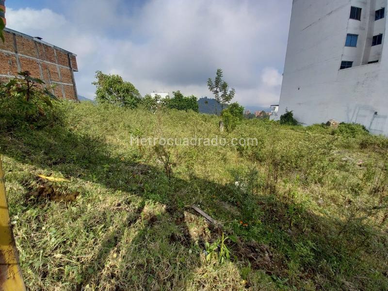 Lote en Venta, Alto Del Perro, Manizales - Vista 5