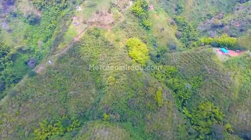 Lote en Venta, San Peregrino, Manizales - View 5