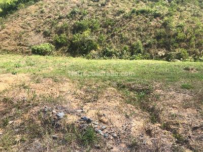 Lote en Venta, Cerritos, Pereira
