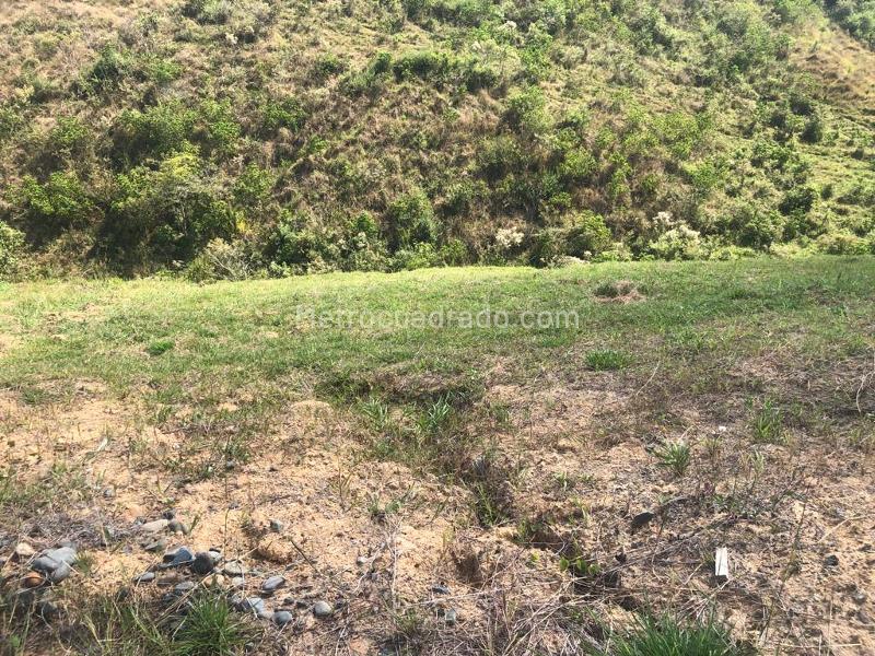 Lote en Venta, Cerritos, Pereira - Vista 3