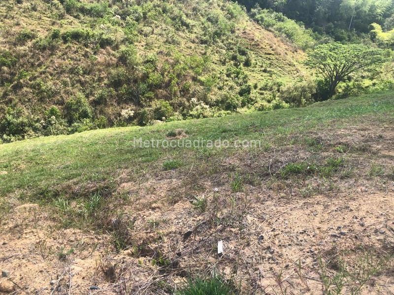 Lote en Venta, Cerritos, Pereira - Vista 4