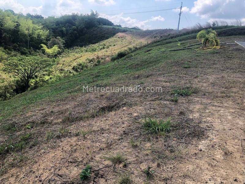 Lote en Venta, Cerritos, Pereira - Más