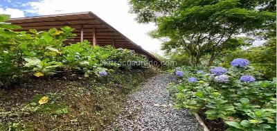 Casa en venta en Via Armenia, Pereira · foto 6 de 20