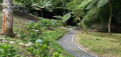 Casa en venta en Via Armenia, Pereira · foto 8 de 20