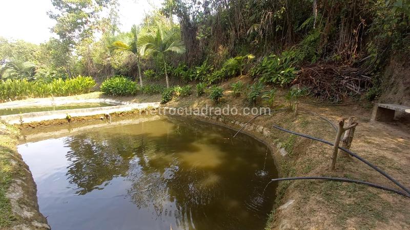 Lote en Venta, San Peregrino, Manizales - Vista 3
