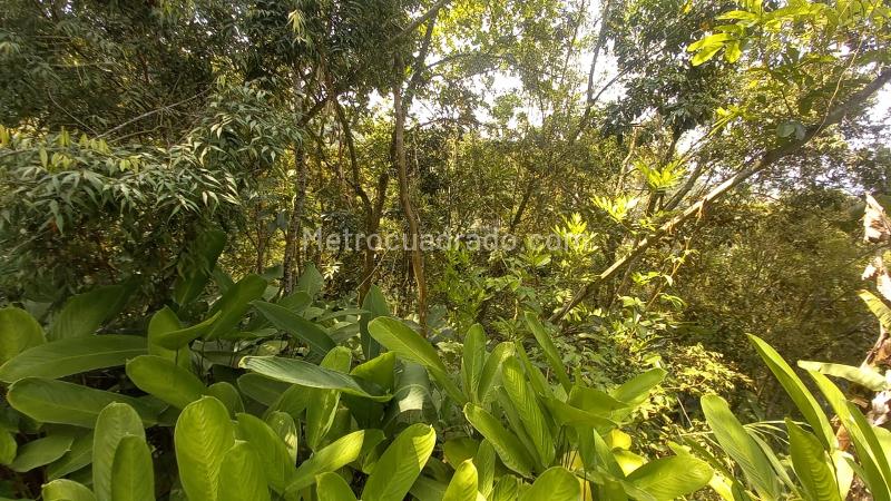 Lote en Venta, San Peregrino, Manizales - Vista 4