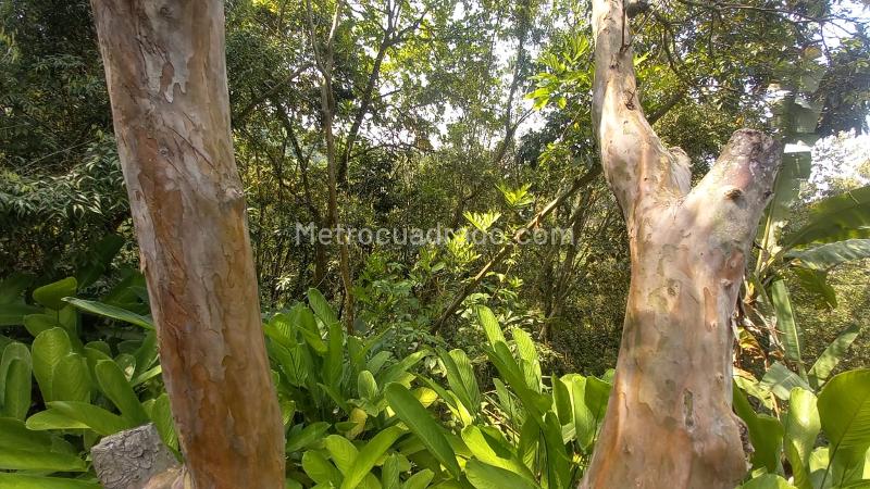 Lote en Venta, San Peregrino, Manizales - Vista 5