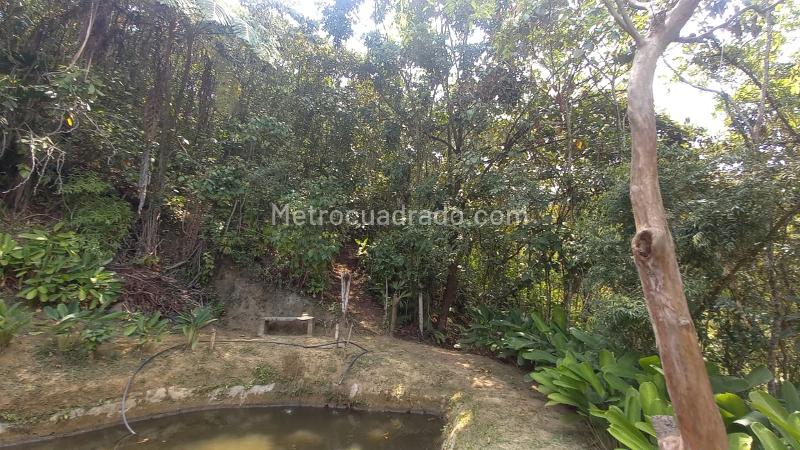Lote en Venta, San Peregrino, Manizales - Más