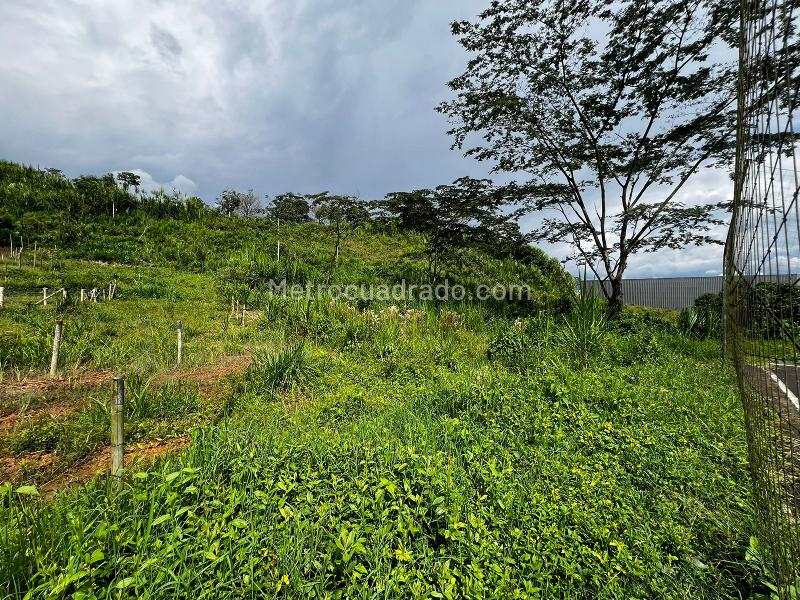 Lote en Venta, Comuna 7/Las Colinas, Dosquebradas - Vista 2