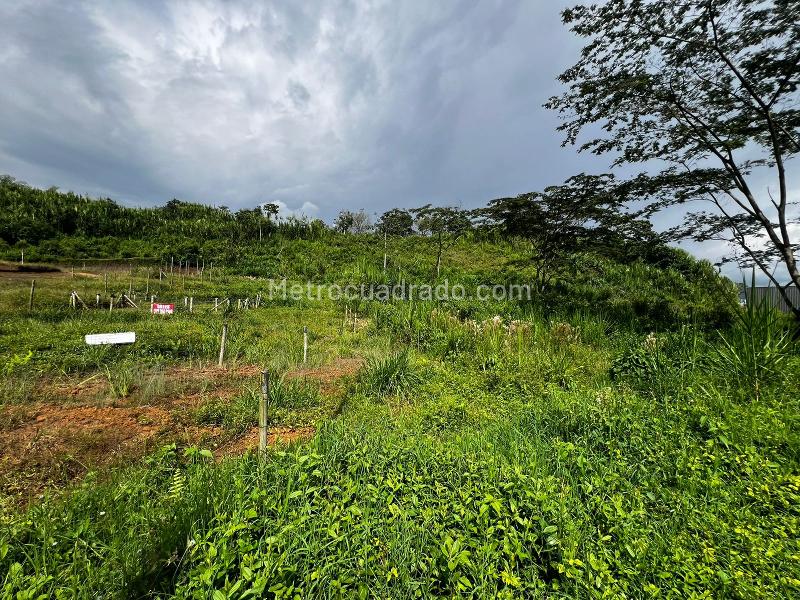 Lote en Venta, Comuna 7/Las Colinas, Dosquebradas - Vista 3