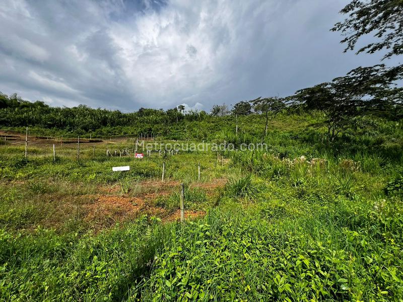 Lote en Venta, Comuna 7/Las Colinas, Dosquebradas - Vista 5