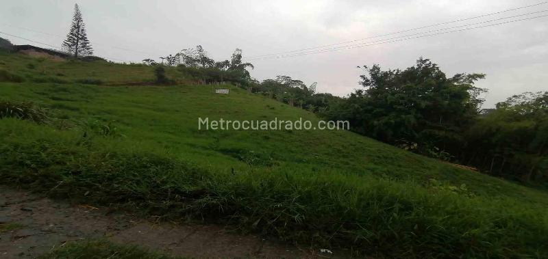 Lote en Venta, Av La Romelia El Pollo, Dosquebradas - Vista 2