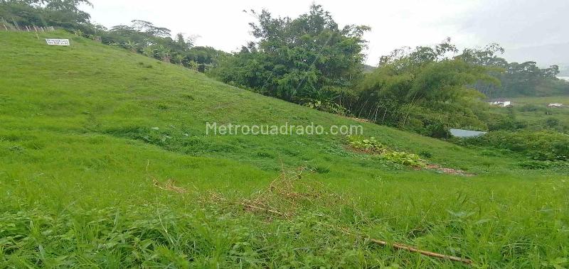 Lote en Venta, Av La Romelia El Pollo, Dosquebradas - Vista 3