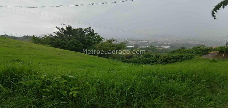 Lote en Venta, Av La Romelia El Pollo, Dosquebradas - Vista 4