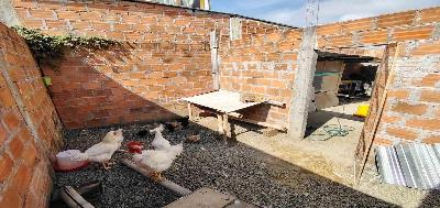 Casa en venta en Leon Suarez, Pereira · foto 16 de 20