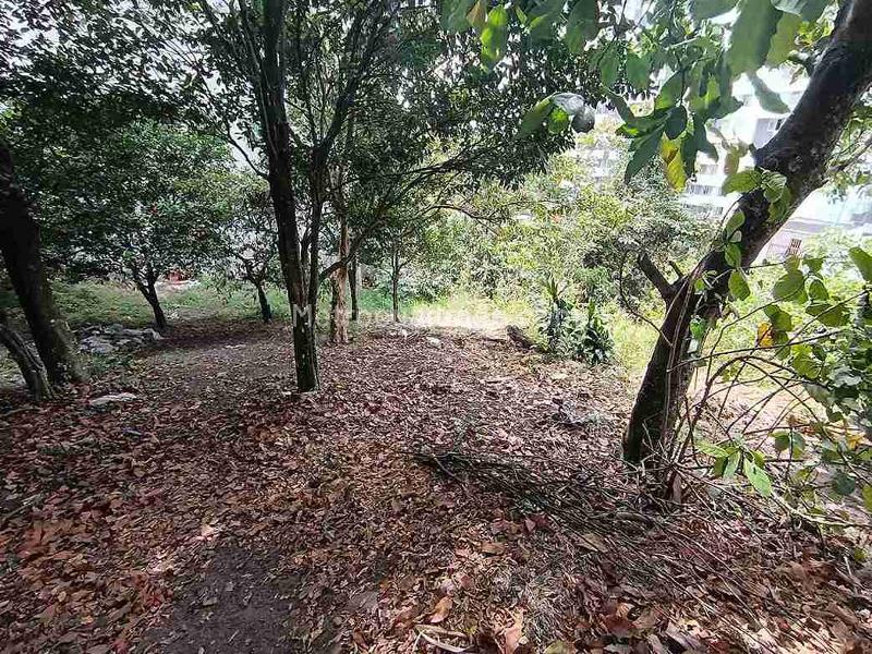 Lote en Venta, Avenida 19 Norte, Armenia - Vista 2