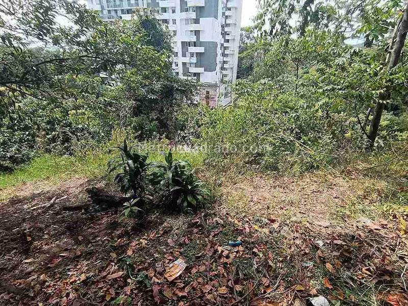 Lote en Venta, Avenida 19 Norte, Armenia - Vista 3