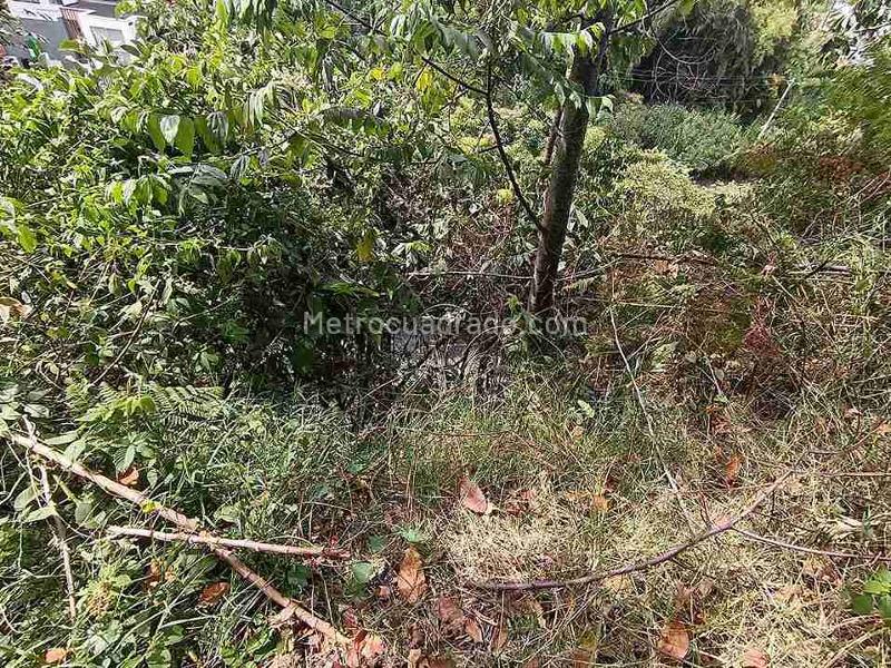 Lote en Venta, Avenida 19 Norte, Armenia - Vista 4
