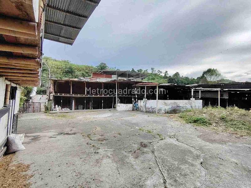 Bodega en Arriendo, Pimpollo, Pereira - Vista 4