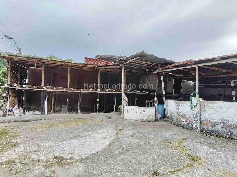 Bodega en Arriendo, Pimpollo, Pereira - Más