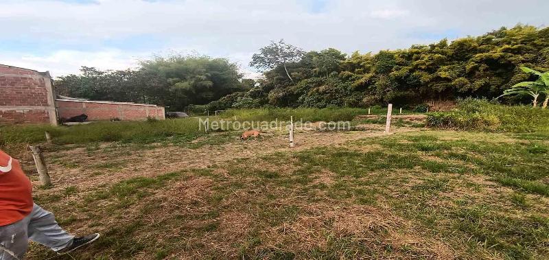Lote en Venta, Urbanizacion Santana, Armenia - Vista 3
