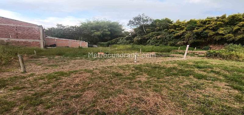 Lote en Venta, Urbanizacion Santana, Armenia - Vista 5